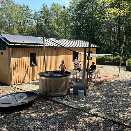 Schitterend 4 Persoons Tinyhouse Met Hottub Aan De Bossen In 4-16 Chalet Putten