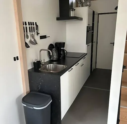 Schitterend 4 Persoons Tinyhouse Met Hottub Aan De Bossen In 4-16 Chalet Putten