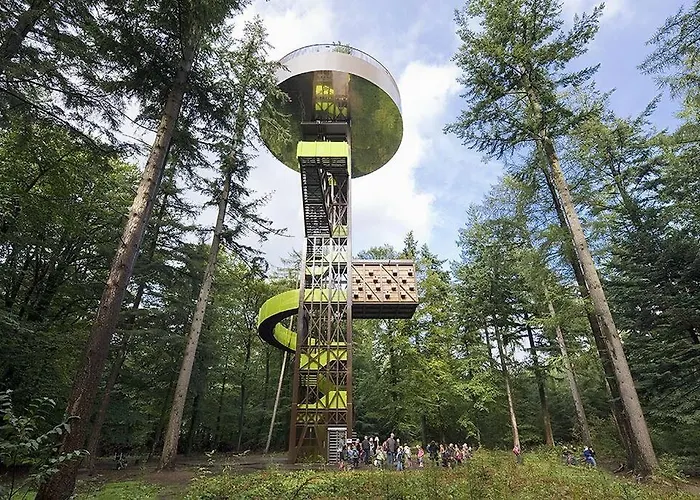 Schitterend 4 Persoons Tinyhouse Met Hottub Aan De Bossen In 4-16