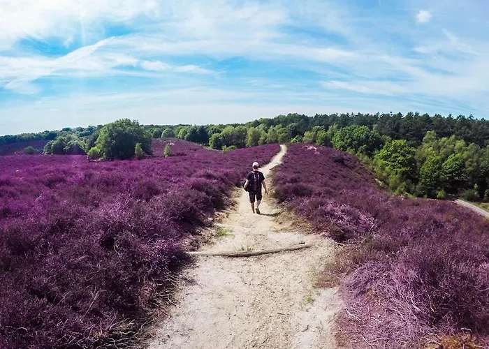 Chalet Schitterend 4 Persoons Tinyhouse Met Hottub Aan De Bossen In 4-16