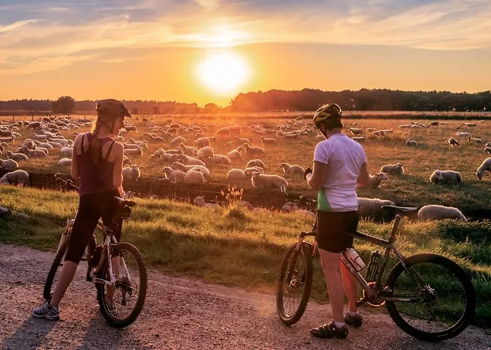 Schitterend 4 Persoons Tinyhouse Met Hottub Aan De Bossen In 4-16 Putten
