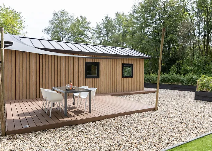 Chalet Schitterend 4 Persoons Tinyhouse Met Hottub Aan De Bossen In 4-16 Putten
