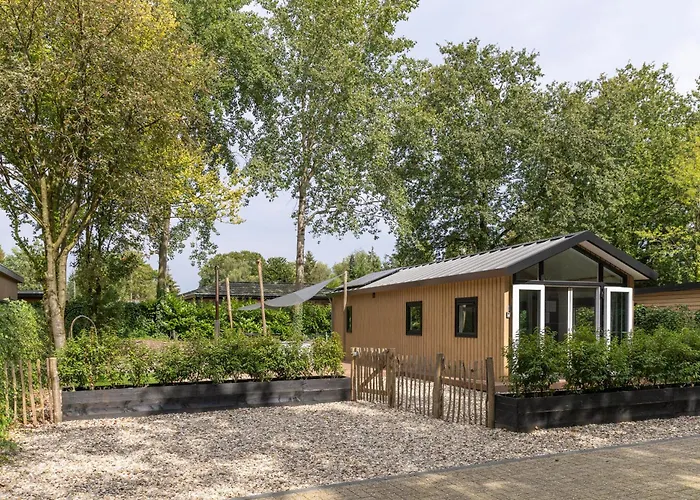 Schitterend 4 Persoons Tinyhouse Met Hottub Aan De Bossen In 4-16