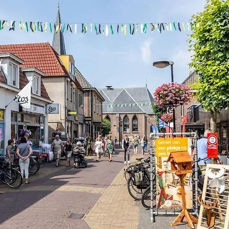 Schitterend 4 Persoons Tinyhouse Met Hottub Aan De Bossen In 4-16 *