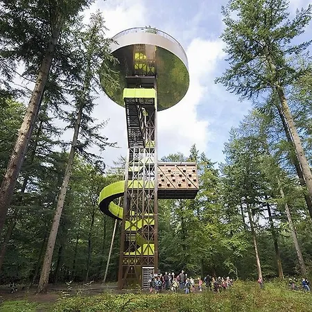 Schitterend 4 Persoons Tinyhouse Met Hottub Aan De Bossen In 4-16