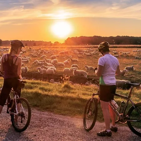 Schitterend 4 Persoons Tinyhouse Met Hottub Aan De Bossen In 4-16 プッテン